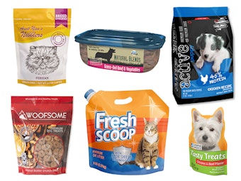 Pet20 Portfolio 5 7 24 Sm