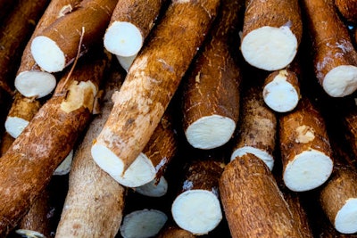 Cassava root lead