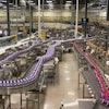 Nestle Foods Plant Conveyors