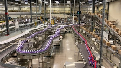 Nestle Foods Plant Conveyors