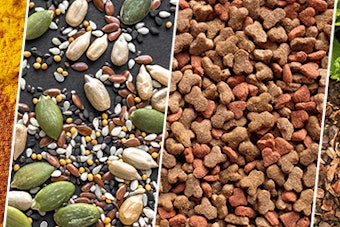 Votech Applications 640x240 V2