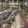Nestle Foods Plant Conveyors 980x551