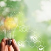 Mt Sustainability