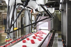 Bradman Lake's VGR Vision Guided Robot loading the infeed of a Flow Wrapper