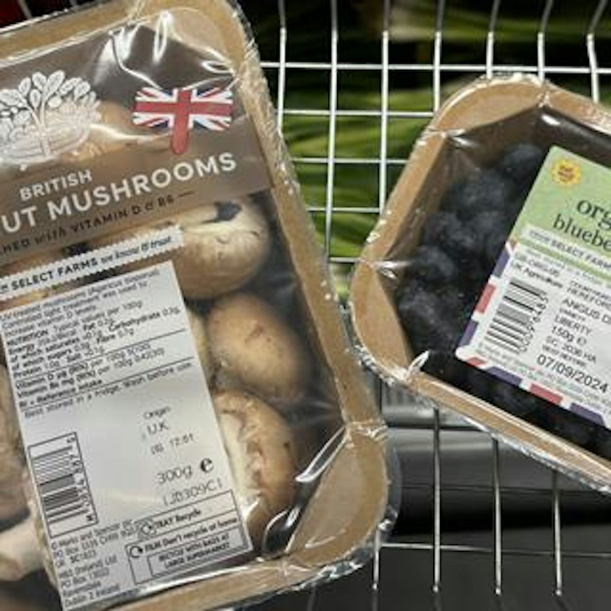 Marks & Spencer, Carso’s Pasta และอาหารเพื่อสุขภาพจากดาวเรือง