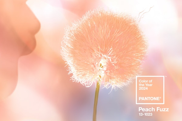Global color authority Pantone has announced that Pantone13-1023 Peach Fuzz is the Pantone Color of the Year selection for 2024. Photo courtesy of The Development.