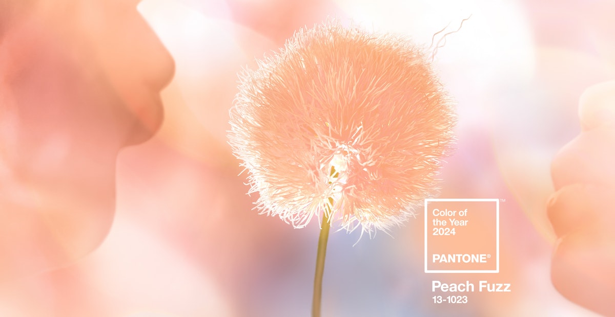บทความยอดนิยมแห่งปี 2024, #5: สีแห่งปี 2024 ของ Pantone