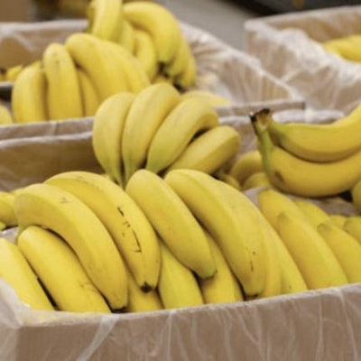Fresh Del Monte claims to addresses the unique challenges posed by bananas’ susceptibility to bruising with it's new reusable packaging.