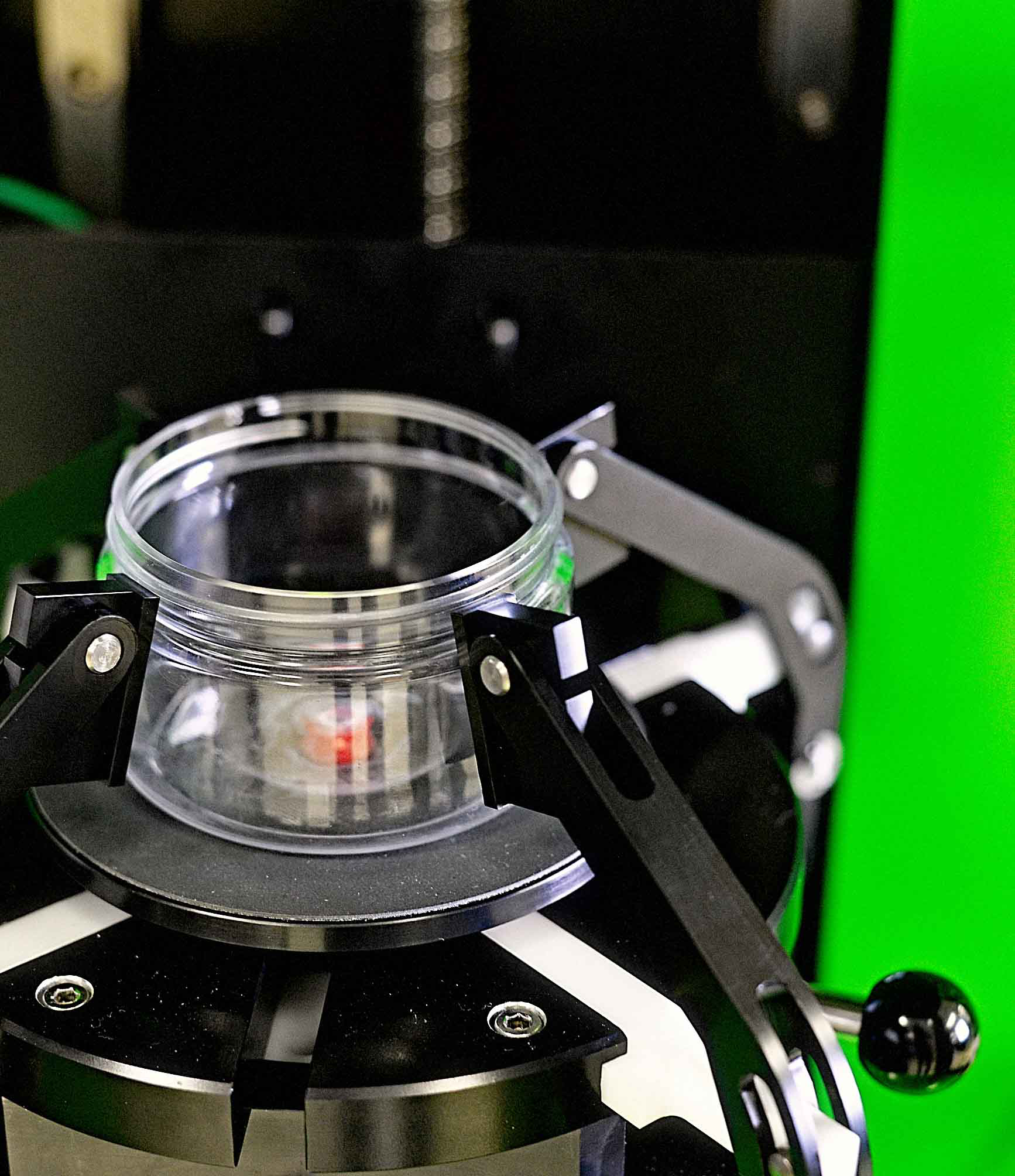 P World20 Product20 Listing20 G4 D