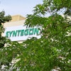 Syntegon