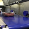 Belt tension and alignment are instantly restored when new Fortress conveyors are clipped back into place.