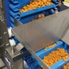 Bulk Snack Scoop Incline Conveyor Multi Conveyor