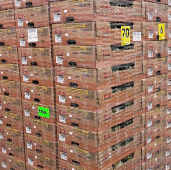 Dole Food Company, Amcor และ Ambev ใช้บรรจุภัณฑ์รีไซเคิลได้ Dole Food Company, Amcor และ Ambev ใช้บรรจุภัณฑ์รีไซเคิลได้