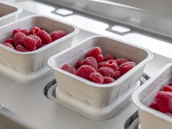 95551 Tray Berries 645127d034bbc8