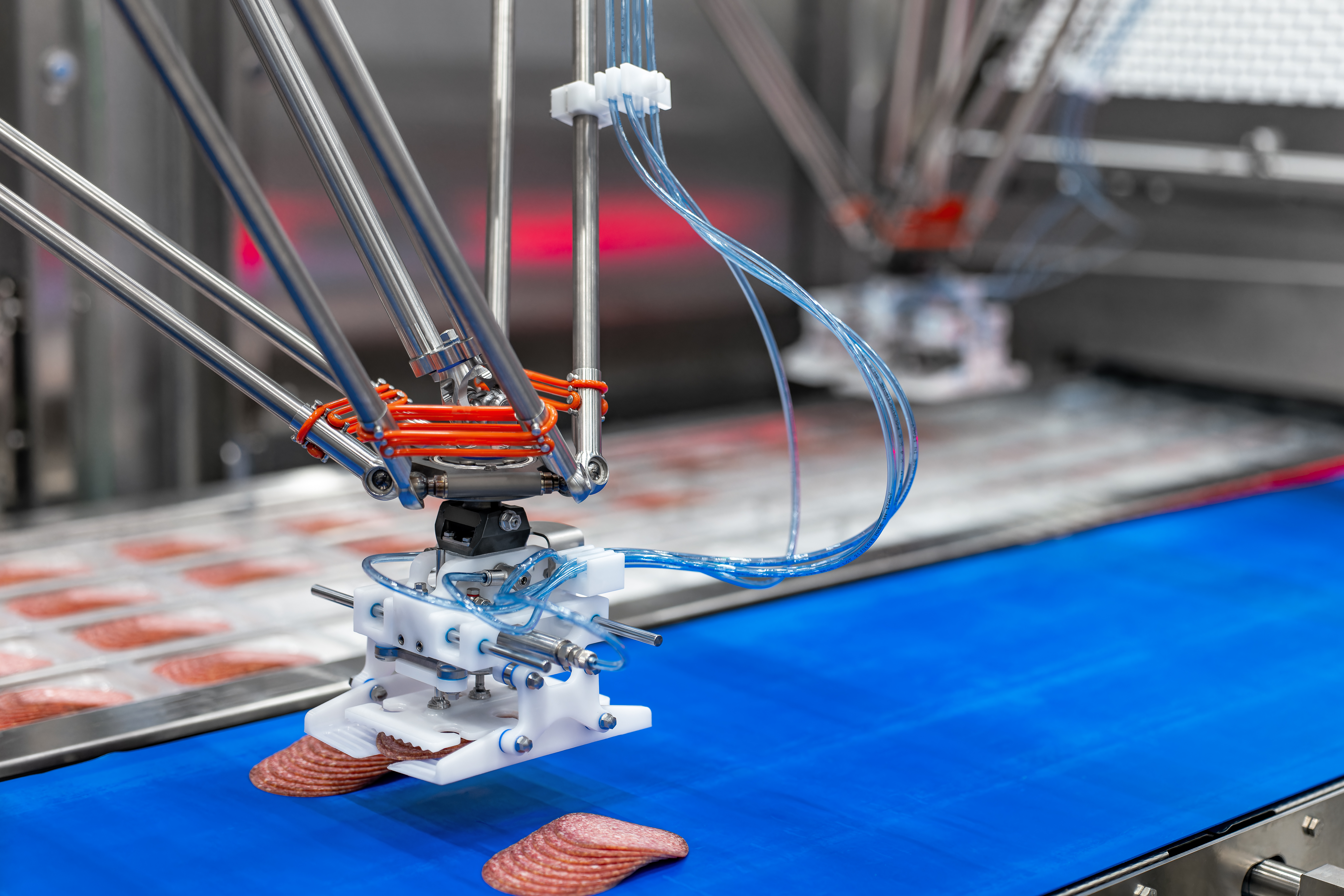 Robot Sausage Loading 645127d02524ec