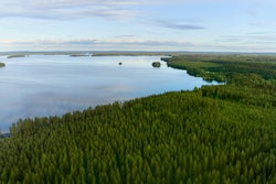 Metsä Forest Shoot Summer Day 3 1629 Web