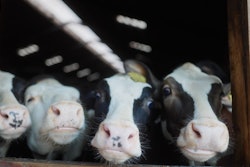 Wapnö’s closed-loop dairy system is now complemented by a low-waste, energy-efficient coding solution that supports its broader sustainability goals.