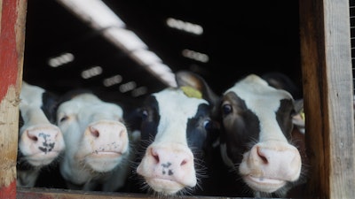 Wapnö’s closed-loop dairy system is now complemented by a low-waste, energy-efficient coding solution that supports its broader sustainability goals.