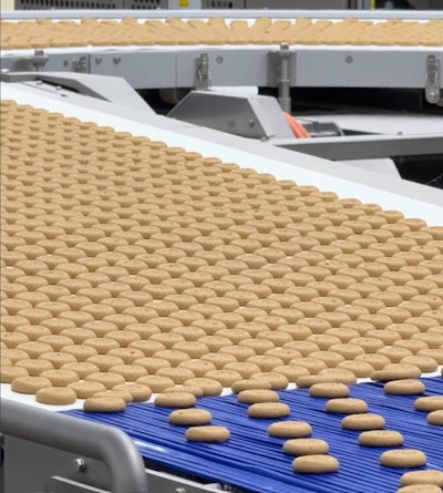 Baked cookies wind around on an accumulation conveyor.