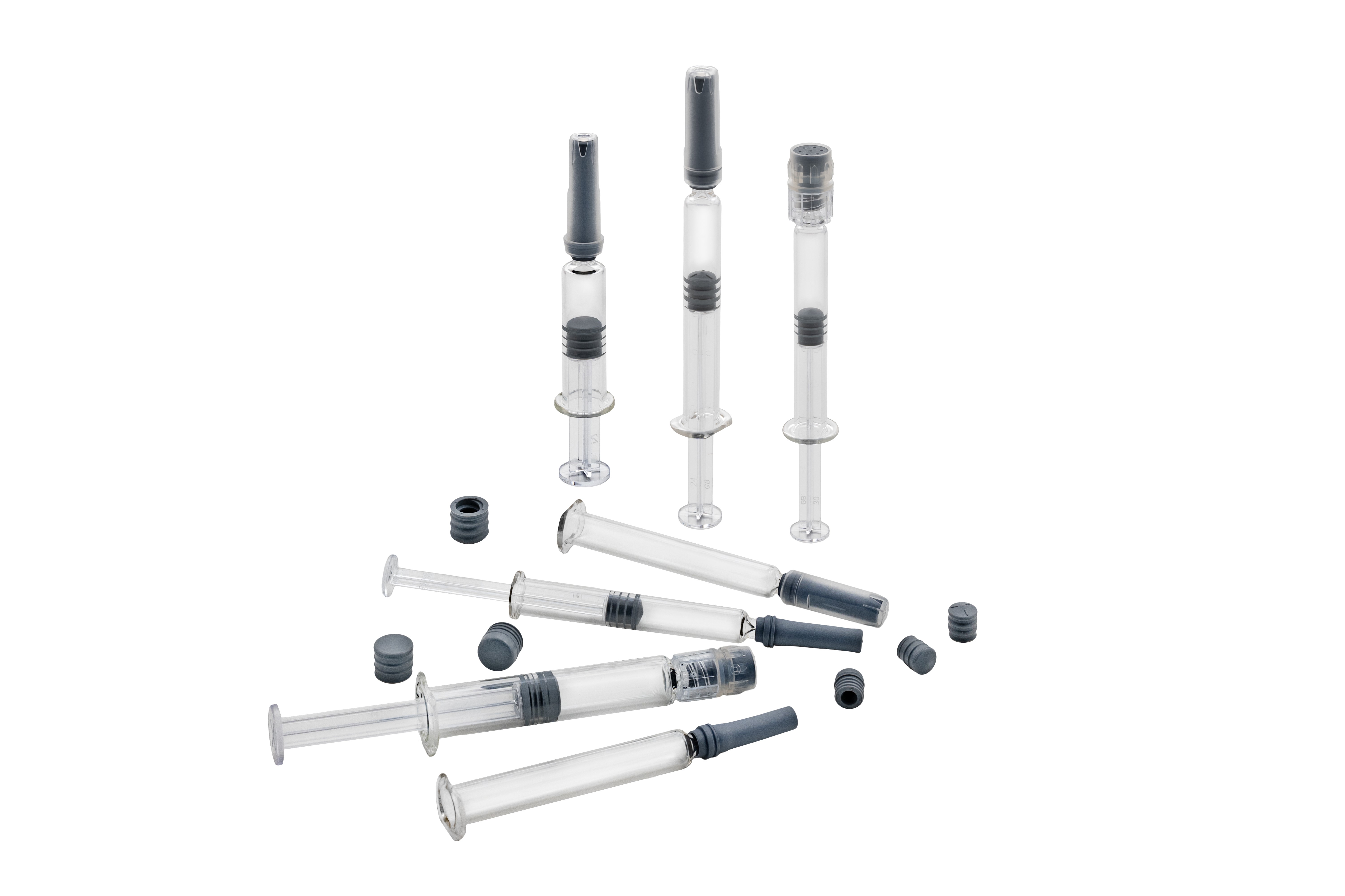 Synchrony Group Photo