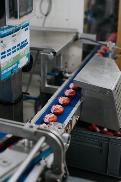 Mini Babybel rounds move along a converted packaging line designed to handle the new recyclable paper wrap.