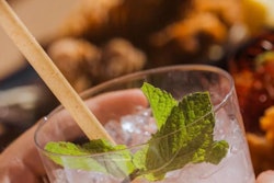 The product is designed to break down without leaving microplastics and is free from plastic, polylactic acid (PLA), and PFAS.