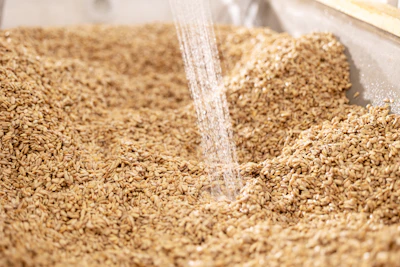 Moisture control is crucial, and byproducts must meet a defined moisture target before they can be upcycled to ensure consistent finished product moisture.