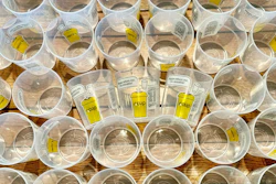 r.World reached a milestone last October, preventing 20 million single-use cups and foodware items from going to landfill through its reuse programs at live events, campuses, and corporate locations.