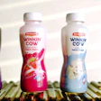 Britannia’s Winkin’ Cow portfolio spans multiple SKUs and flavors, with transparent PET bottles reinforcing product visibility and on-the-go consumption.