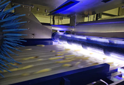 Key Technology's ADR X offers advanced multi-spectral sensing, recipe-driven automation, and hygienic design to improve defect detection, increase yield, and support high-capacity production environments.