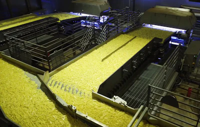 The VERYX sorting equipment at Bem Brasil's facility enables full-surface inspection of potato strips.