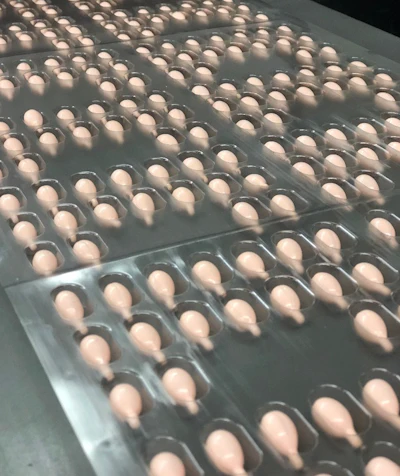 By combining advanced engineering with application-specific design, these systems enable consistent, damage-free handling while maintaining precise orientation and accurate placement throughout the packaging process.