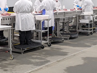 Adjustable platforms on the line allow workers to choose the height that best suits them ergonomically.