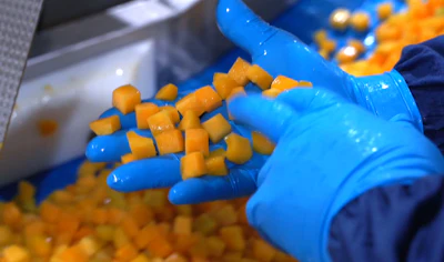 Agrophoenix uses the dicers to produce a wide range of cut sizes and formats, including dice, strips, and slices.