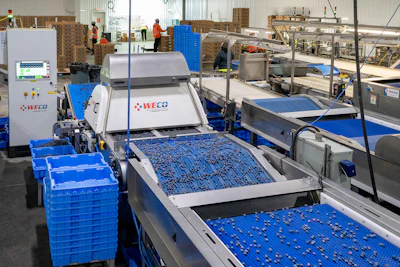 Installed at the end of a Sortivator line, the 360Tek separates accepted berries, defective fruit or extraneous vegetable material, and jumbo berries into customizable streams. The sorter’s control system also records quality and packout data.